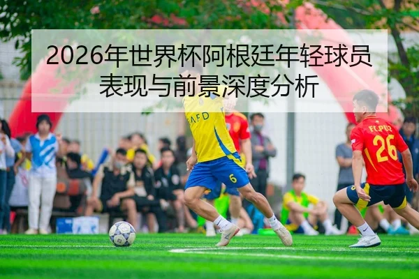 2026年世界杯阿根廷年轻球员表现与前景深度分析
