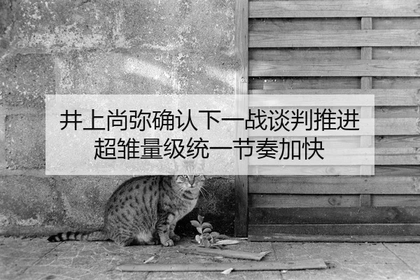 井上尚弥确认下一战谈判推进 超雏量级统一节奏加快